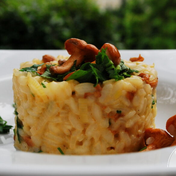 Risotto z kurkami